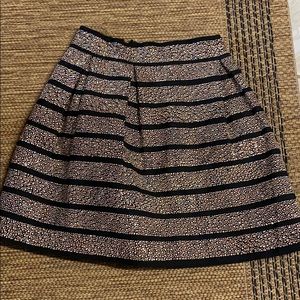 Sparkly Skirt
